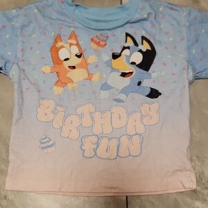 Kids Birthday Celebration Tee - Blue and Pink